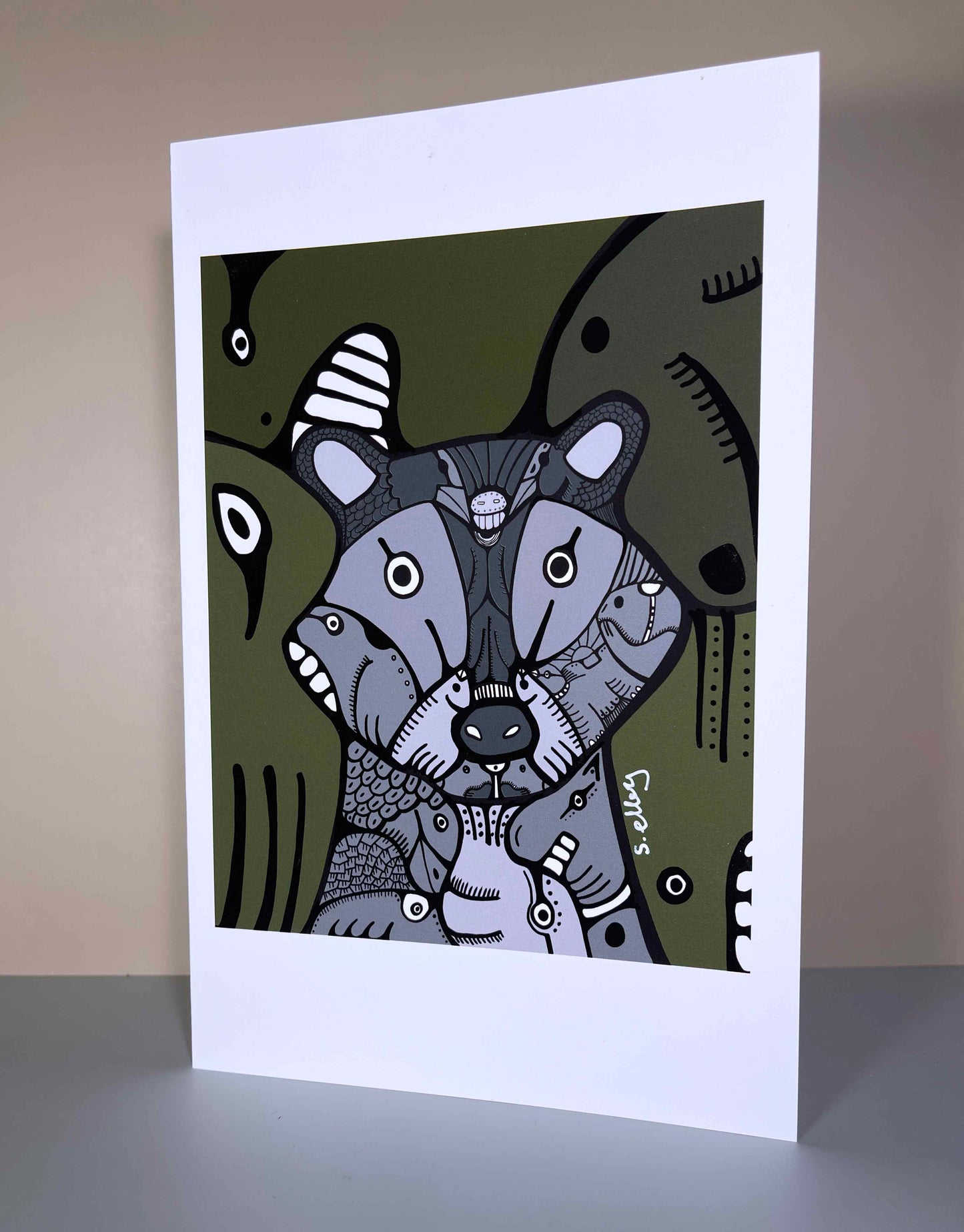 Racoon